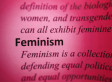 feminism definition