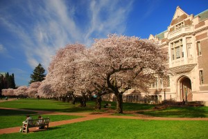 University of Washington Seattle