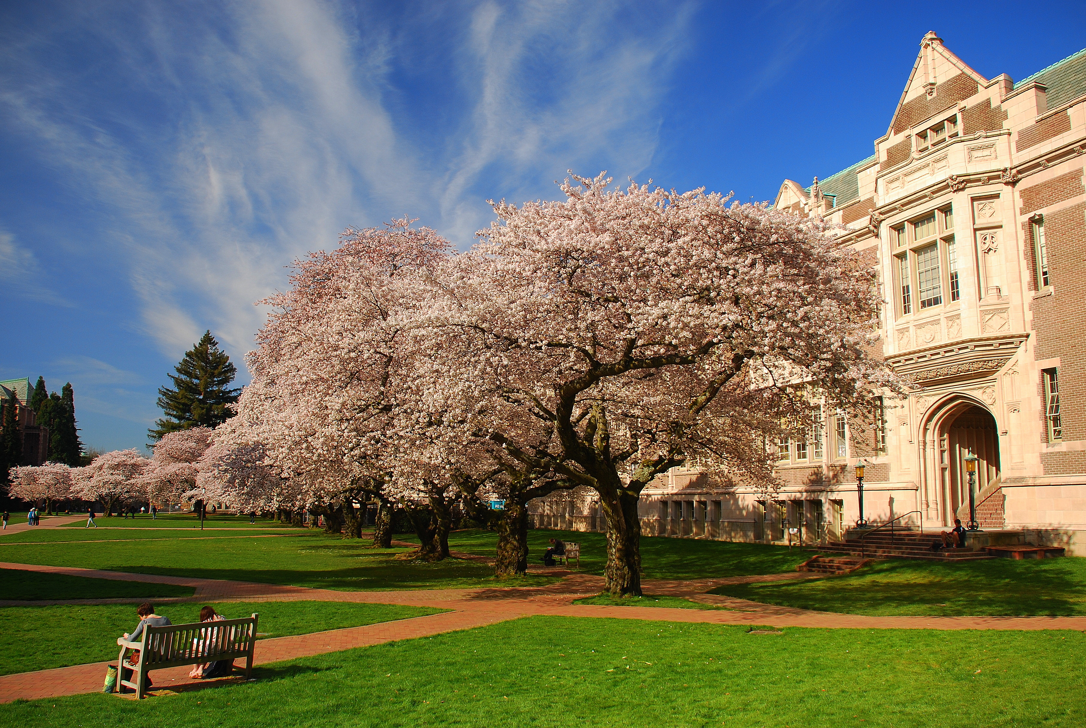 Campus Pride’s ‘Top 25 LGBT Colleges and Universities’