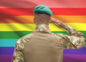 LGBT Groups Fear James Mattis Will Roll-Back Protections for Transgender Troops A military service member salutes the rainbow LGBT flag.