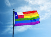 Man Wants to Become Texas’ First Openly Gay Senator A rainbow flag with the Texas flag inside of it.