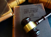 Queer Teacher Files Discrimination Lawsuit Against School District An "Employment Law" book with a gavel on top of it.