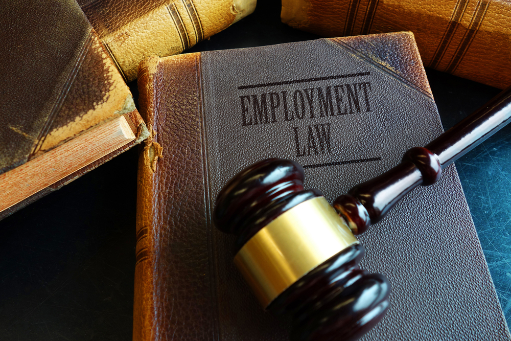 An "Employment Law" book with a gavel on top of it.